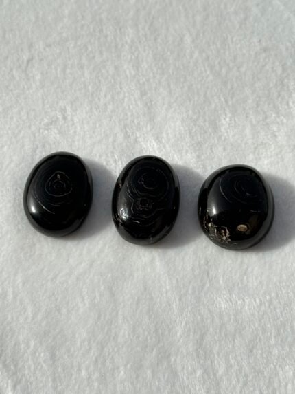 Natural Egyption Coral