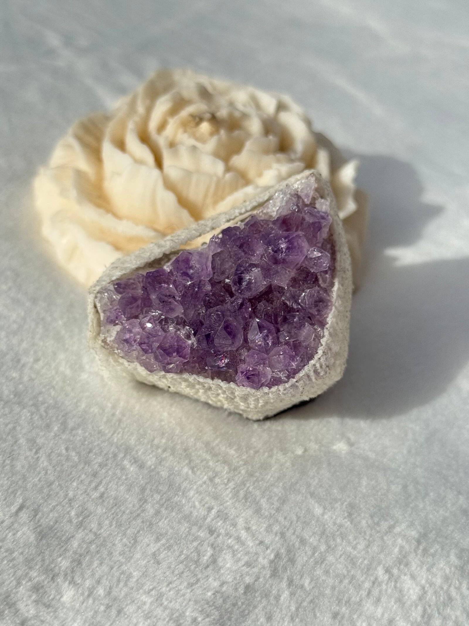 ac0d32e4-52d1-44a6-96c7-7c42b9a37cb1